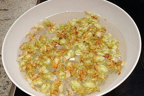 Hopfen-Tee