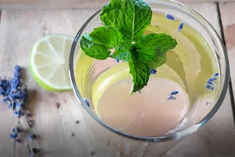 Lavendel Erfrischung
