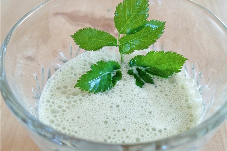 Giersch Smoothie