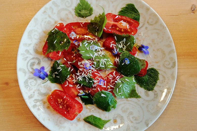 Birkenblätter Salat