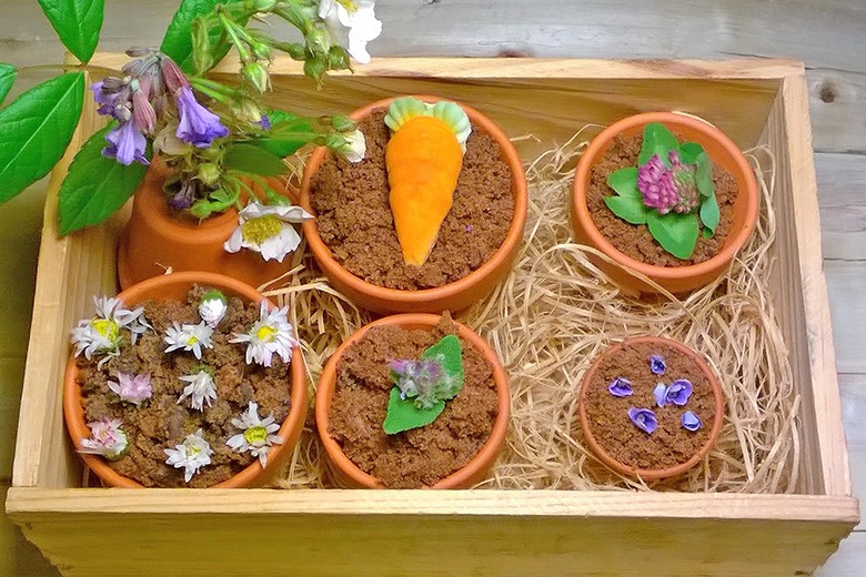 Dessert im Blumentopf