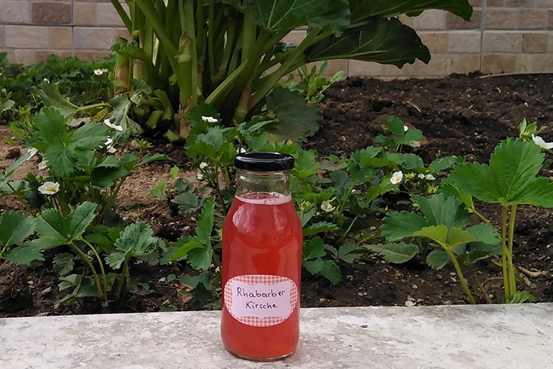 Rhabarber-Kirsch-Sirup