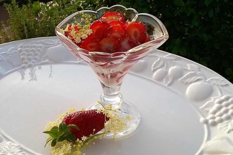 Holundertopfen mit marinierten Erdbeeren