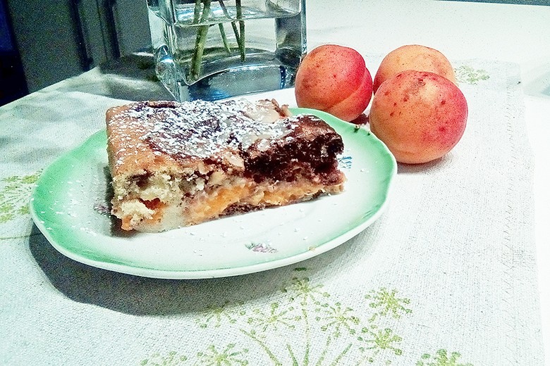 Saftiger Marillenkuchen