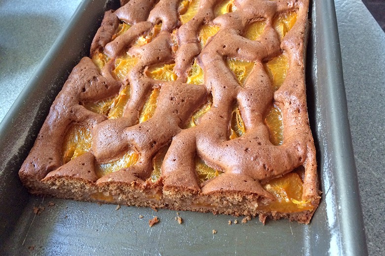 Schoko-Marillenkuchen