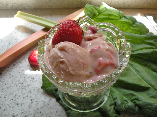 Rhabarber-Erdbeer-Eis