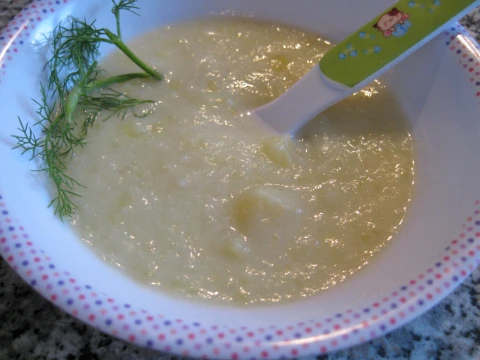 Fenchel-Kartoffel-Schaum