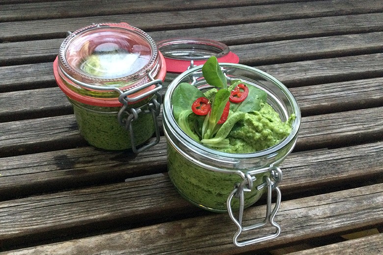 Vogerlsalat-Pesto