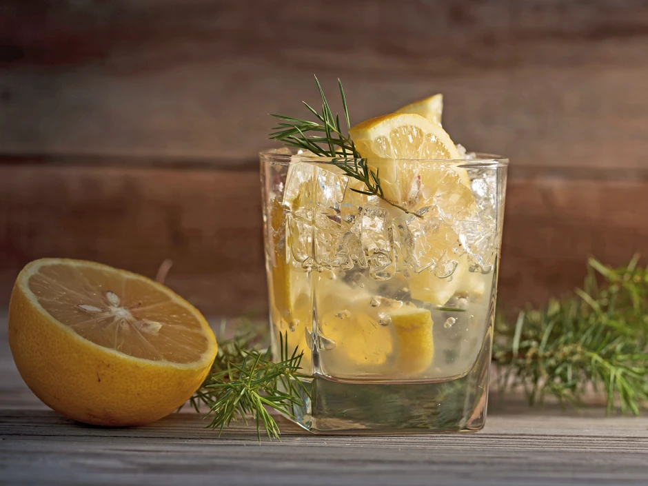 Gin Sour