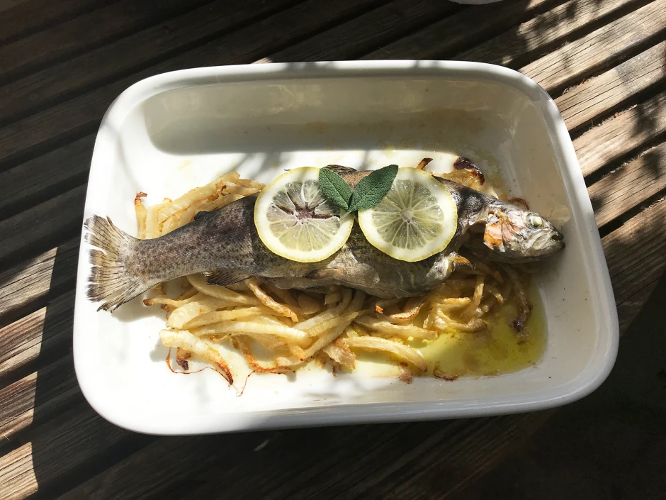 Forelle im Fenchel-Pastis-Bett