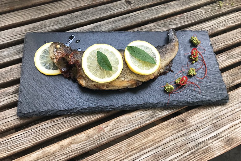 Forelle mit Vogerlsalat-Pesto