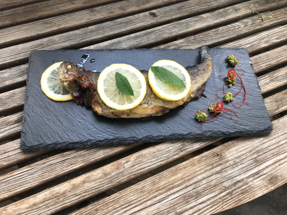 Forelle mit Vogerlsalat-Pesto