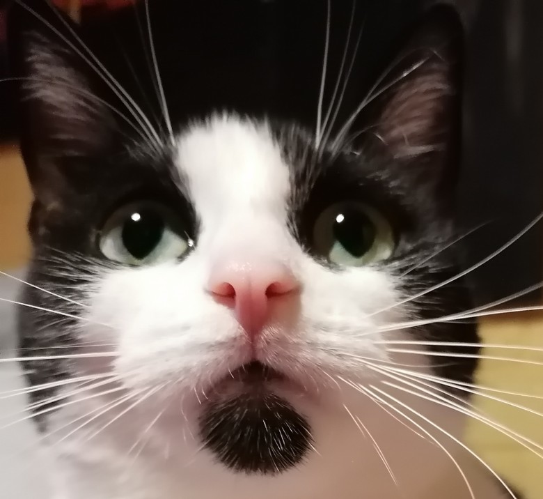 TomLiChan