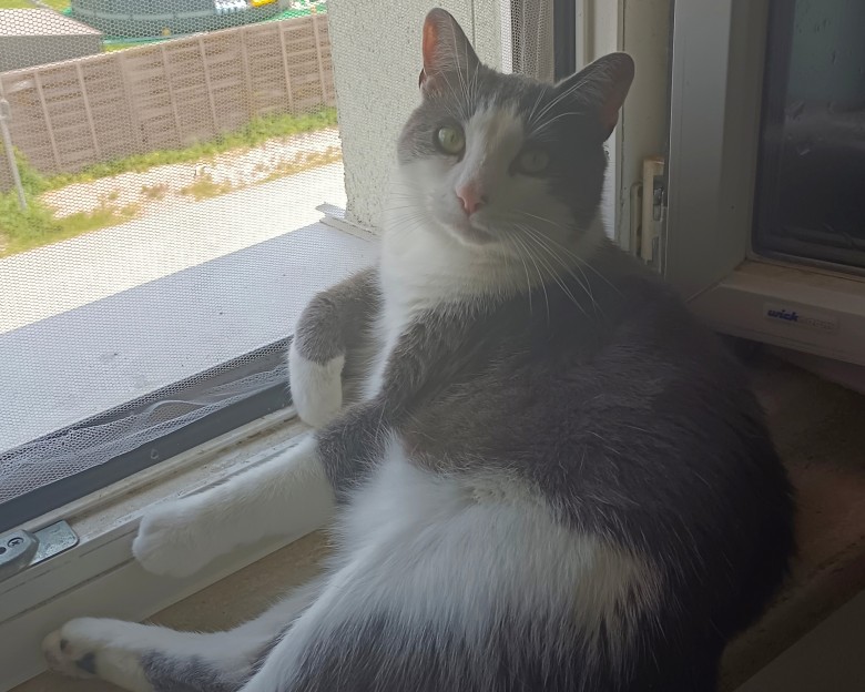 Furry_Lover