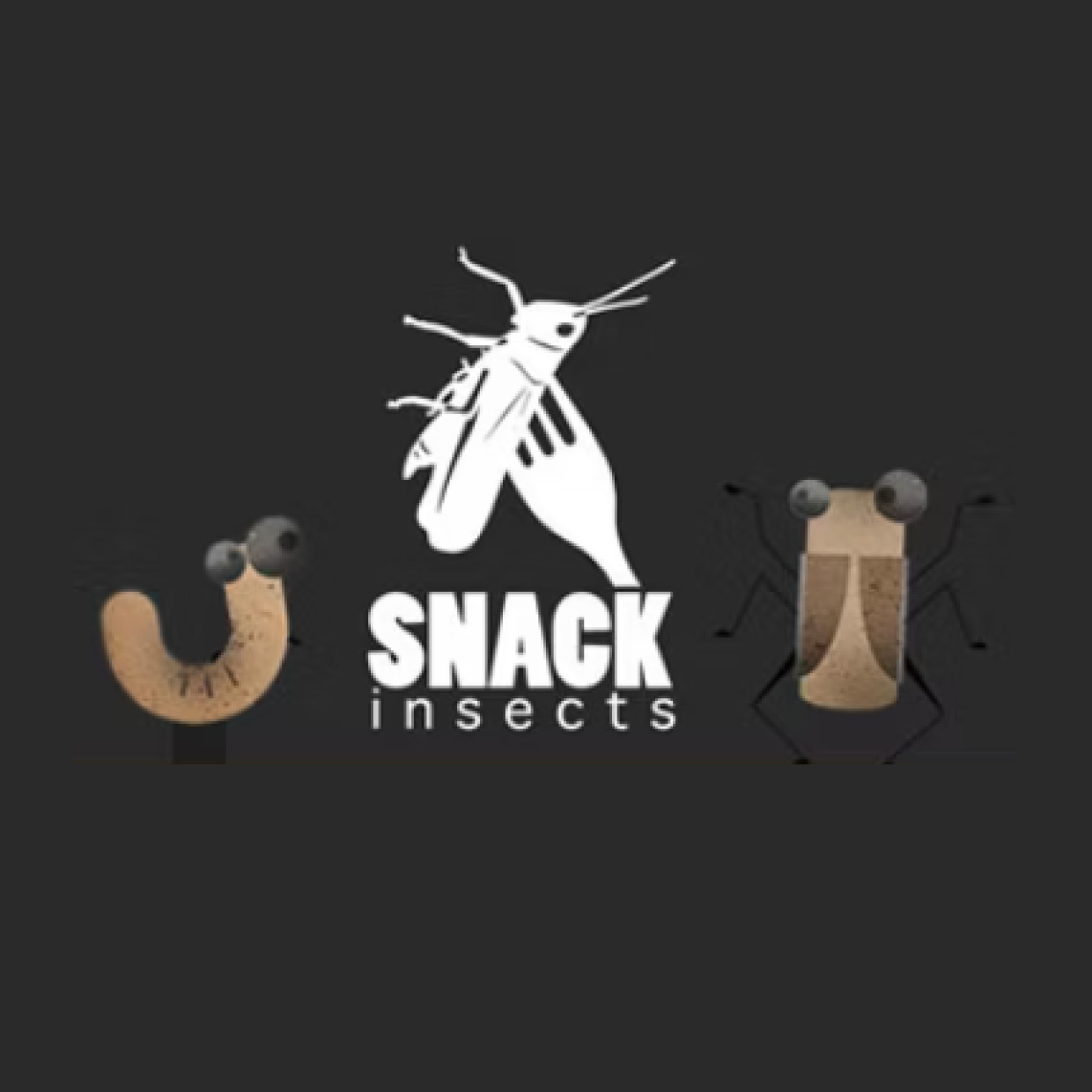 Snackinsects