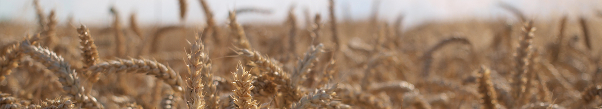 Landwirtschaftschmeckt